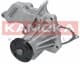 T0134 Kamoka Помпа