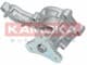 T0150 Kamoka Помпа