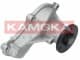 T0151 Kamoka Помпа