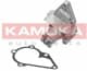 T0156 Kamoka Помпа