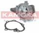 T0158 Kamoka Помпа