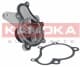 T0160 Kamoka Помпа