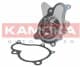 T0160 Kamoka Помпа