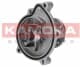 T0182 Kamoka Помпа
