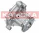 T0182 Kamoka Помпа