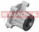 T0183 Kamoka Помпа