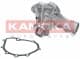 T0189 Kamoka Помпа