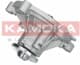 T0194 Kamoka Помпа