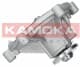 T0194 Kamoka Помпа