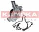 T0195 Kamoka Помпа