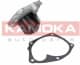 T0205 Kamoka Помпа