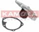 T0205 Kamoka Помпа