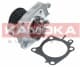 T0206 Kamoka Помпа