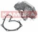 T0207 Kamoka Помпа