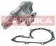 T0207 Kamoka Помпа