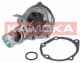 T0209 Kamoka Помпа