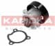 T0221 Kamoka Помпа