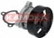 T0221 Kamoka Помпа