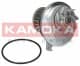 T0228 Kamoka Помпа