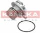T0228 Kamoka Помпа