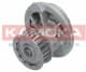 T0229 Kamoka Помпа