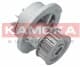 T0232 Kamoka Помпа