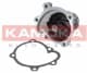 T0233 Kamoka Помпа