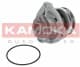 T0234 Kamoka Помпа