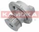 T0236 Kamoka Помпа