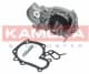 T0241 Kamoka Помпа