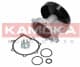 T0247 Kamoka Помпа