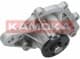 T0259 Kamoka Помпа