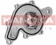 T0259 Kamoka Помпа