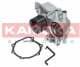 T0261 Kamoka Помпа
