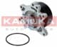 T0263 Kamoka Помпа
