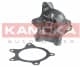 T0268 Kamoka Помпа