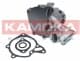 T0162 Kamoka Помпа