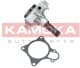 T0164 Kamoka Помпа