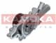 T0193 Kamoka Помпа