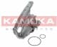 T0119 Kamoka Помпа