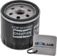 COF101106S Champion Масляный фильтр
