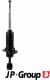 4042101900 JP Group Стойка амортизатора