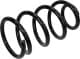 sf204tp RAISO Пружина подвески