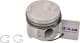 130050000221 NPR Поршень двигателя