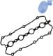 ADV186701 Blue Print Прокладка клапанной крышки