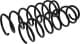 sr019tp RAISO Пружина підвіски