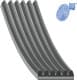 AD06R1237 Blue Print Поліклиновий ремінь