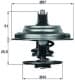 TX 23 83D Mahle Термостат