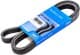 VKMV 6PK1695 SKF Поликлиновой ремень
