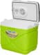 Автохолодильник Pinnacle Prudence 8906053362008LIME 30 л